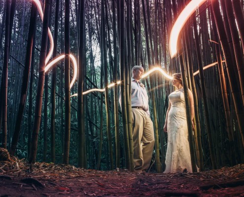 bamboo light painting