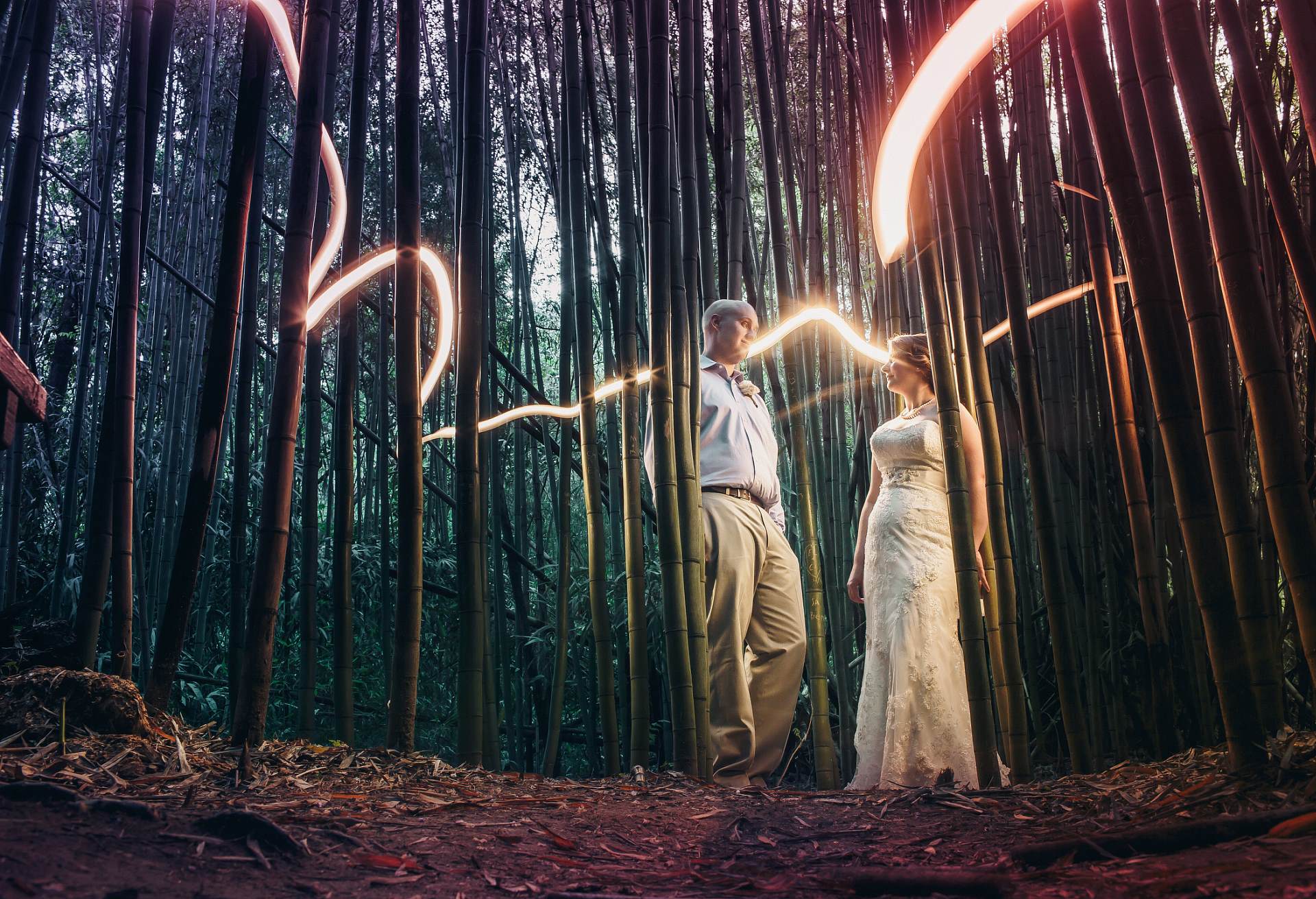 bamboo light painting