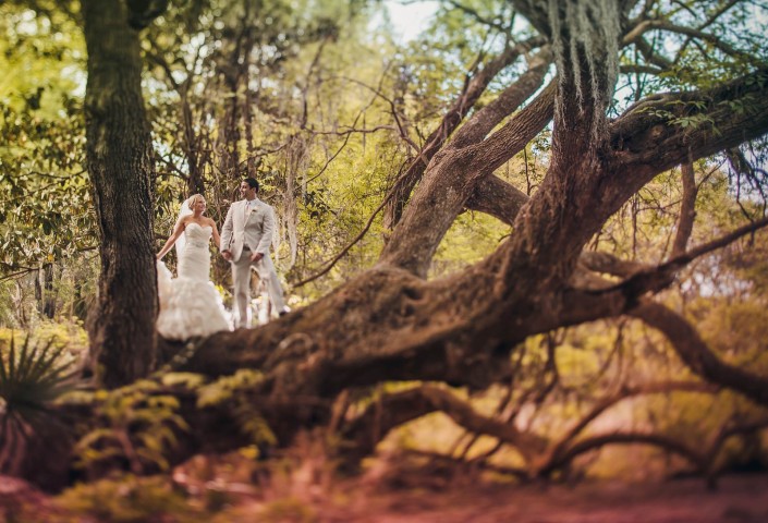 charleston wedding