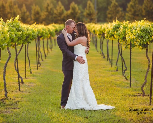 Vineyard Bride and Groom