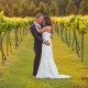 Vineyard Bride and Groom