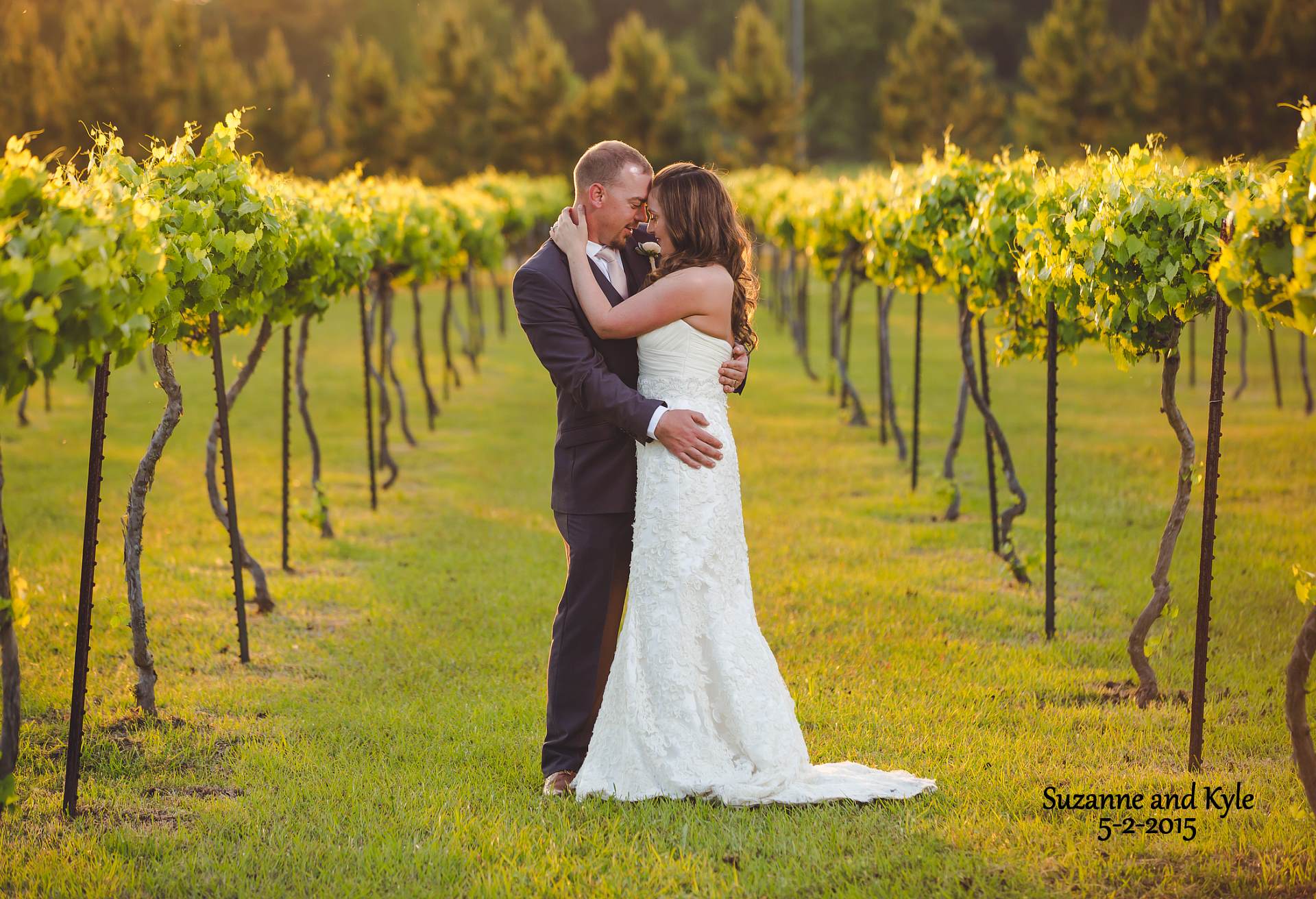 Vineyard Bride and Groom