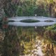 Charleston Wedding at Magnolia Plantation Veranda