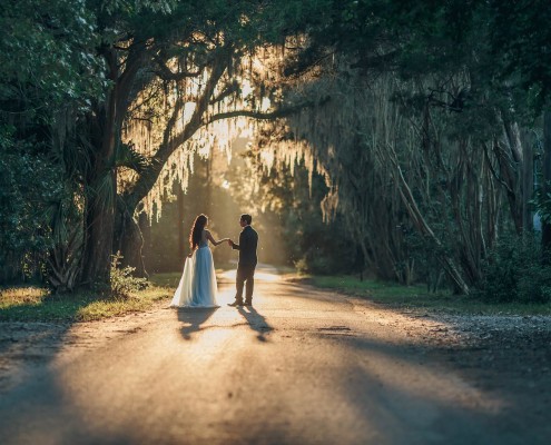 Magnolia Plantation Oaks