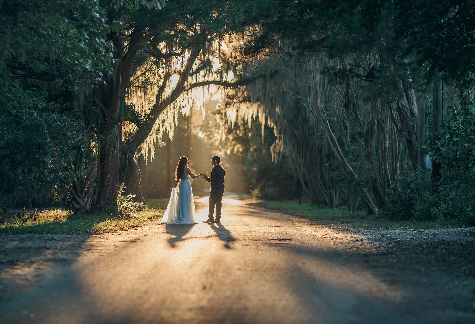 Magnolia Plantation Oaks