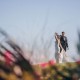 Pawleys Plantation Wedding Dancing Outside