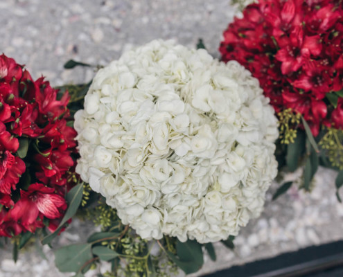 Bride and Bridesmaid's Bouquets