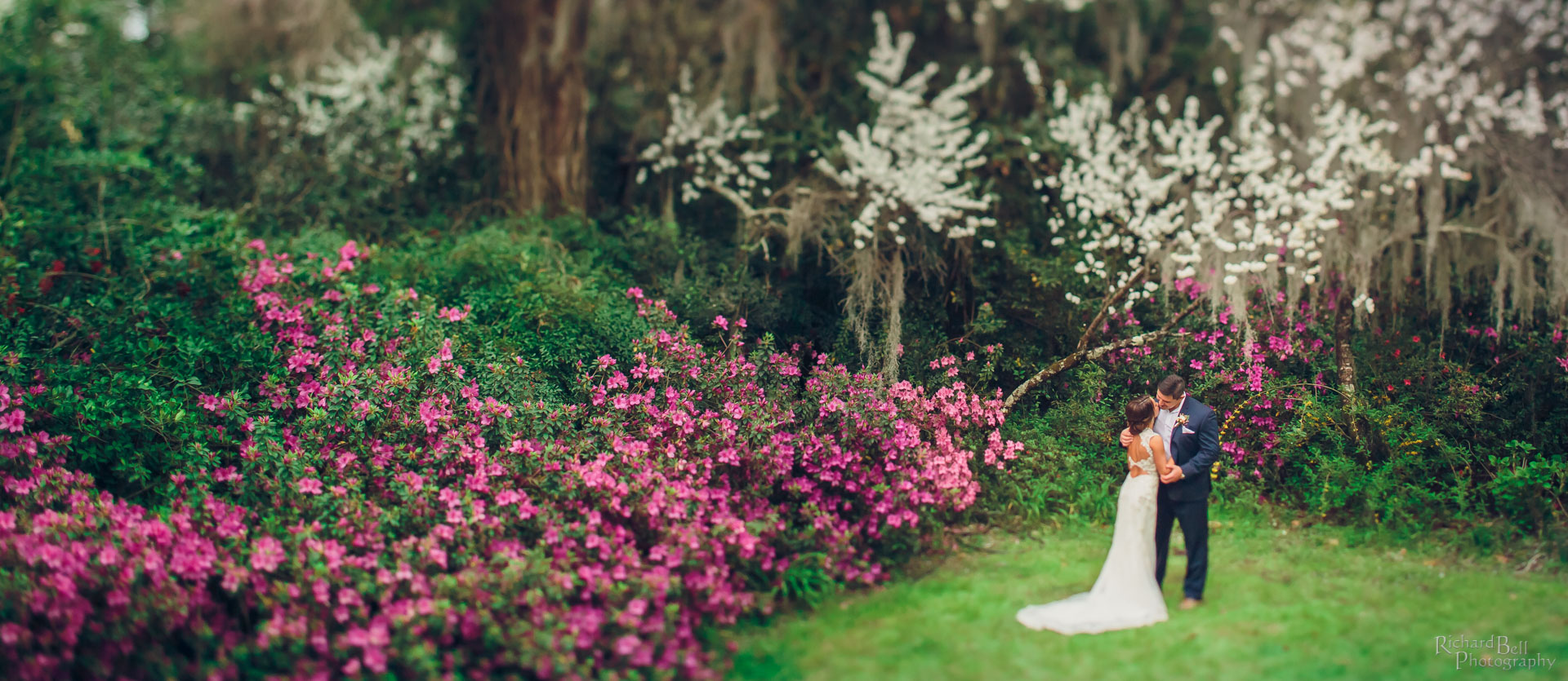 Bride and Groom at Magnolia Plantation