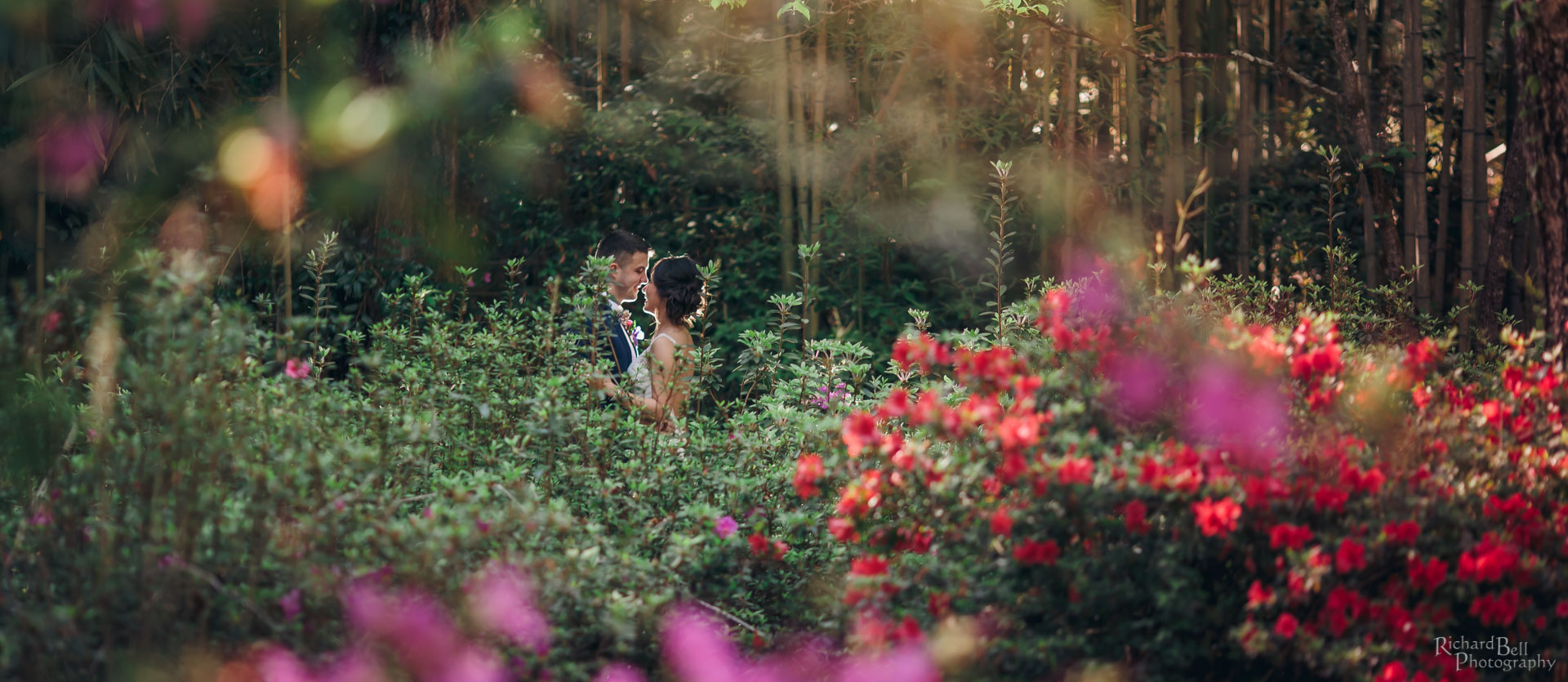 Magnolia Plantation Bride and Groom