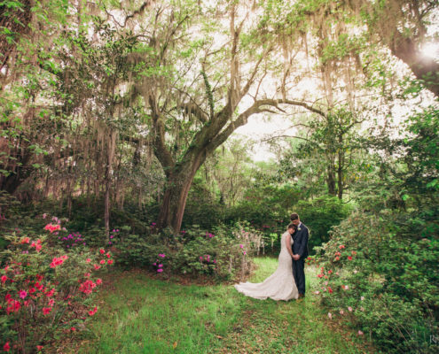 King at Magnolia Plantation