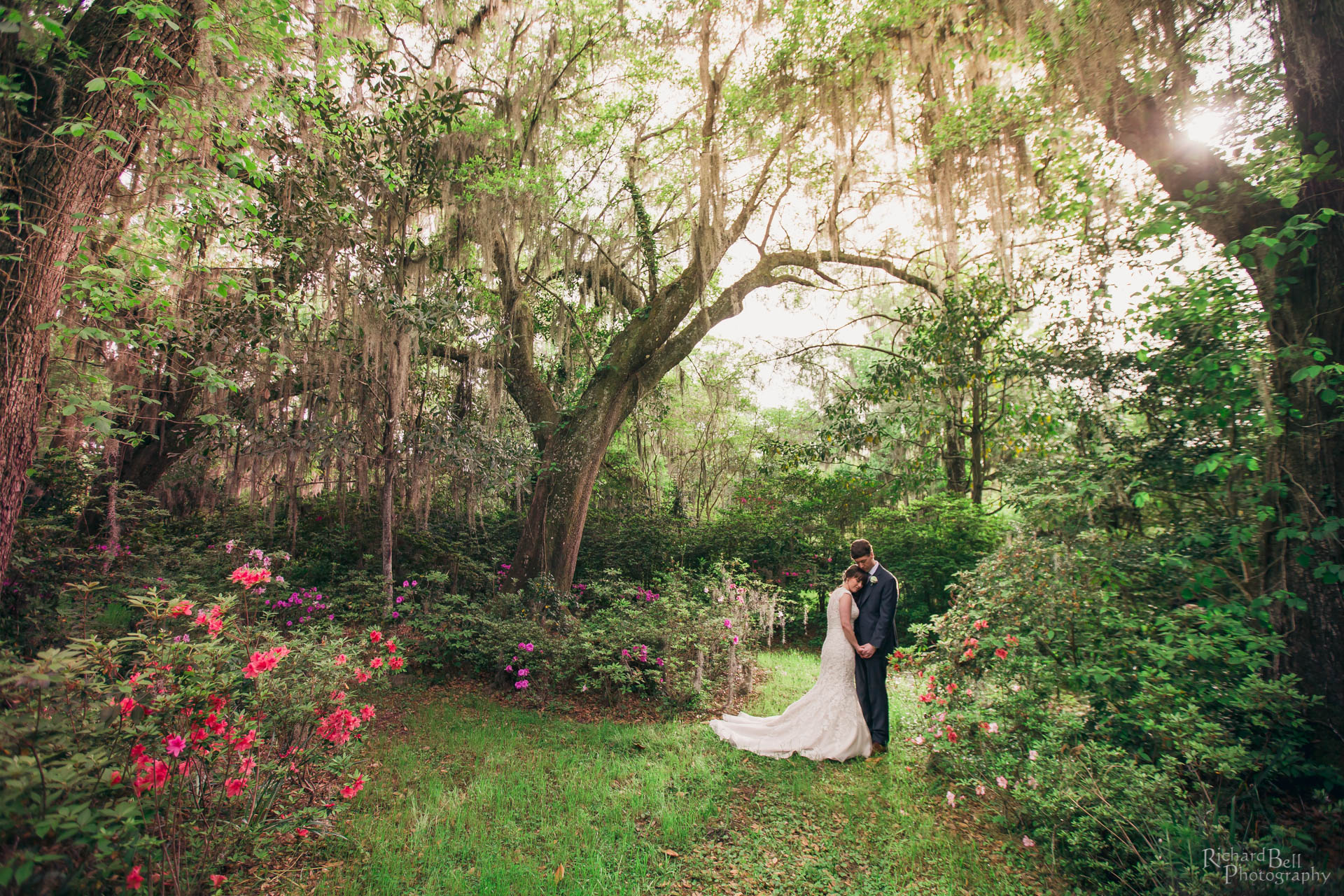 King at Magnolia Plantation