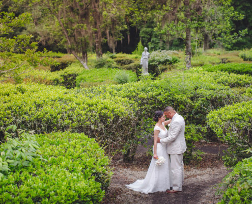 Bide and Groom Horticulture Maze