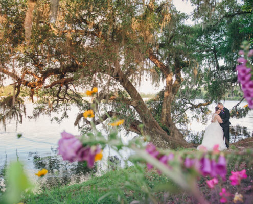 Bride and Groom in tree