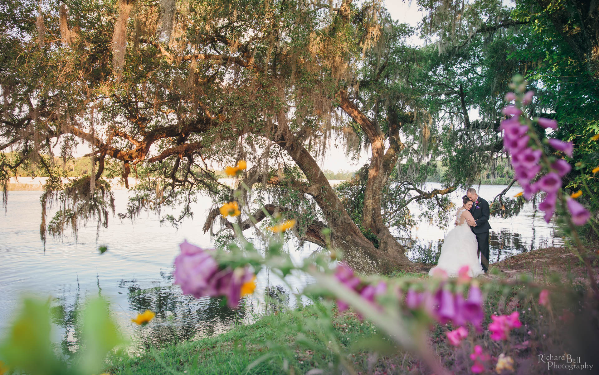 Bride and Groom in tree