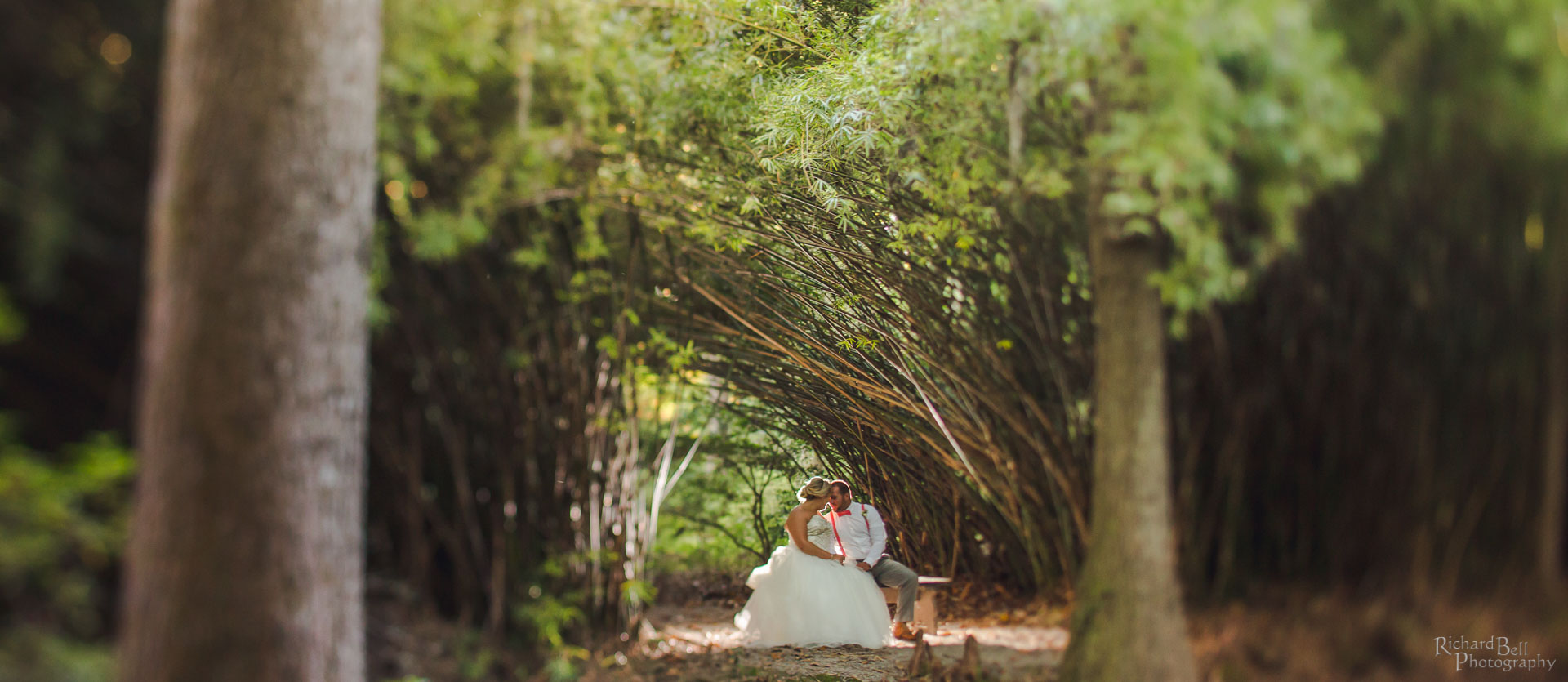 Bride and Groom in Bamboo