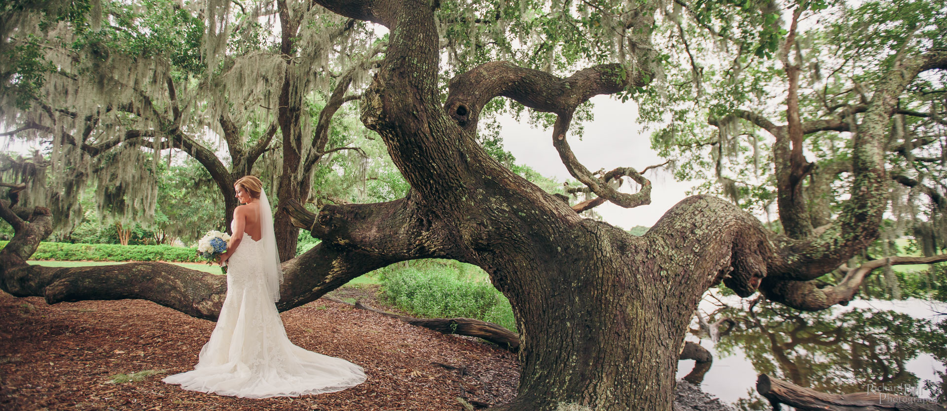 Bride at Boone Hall