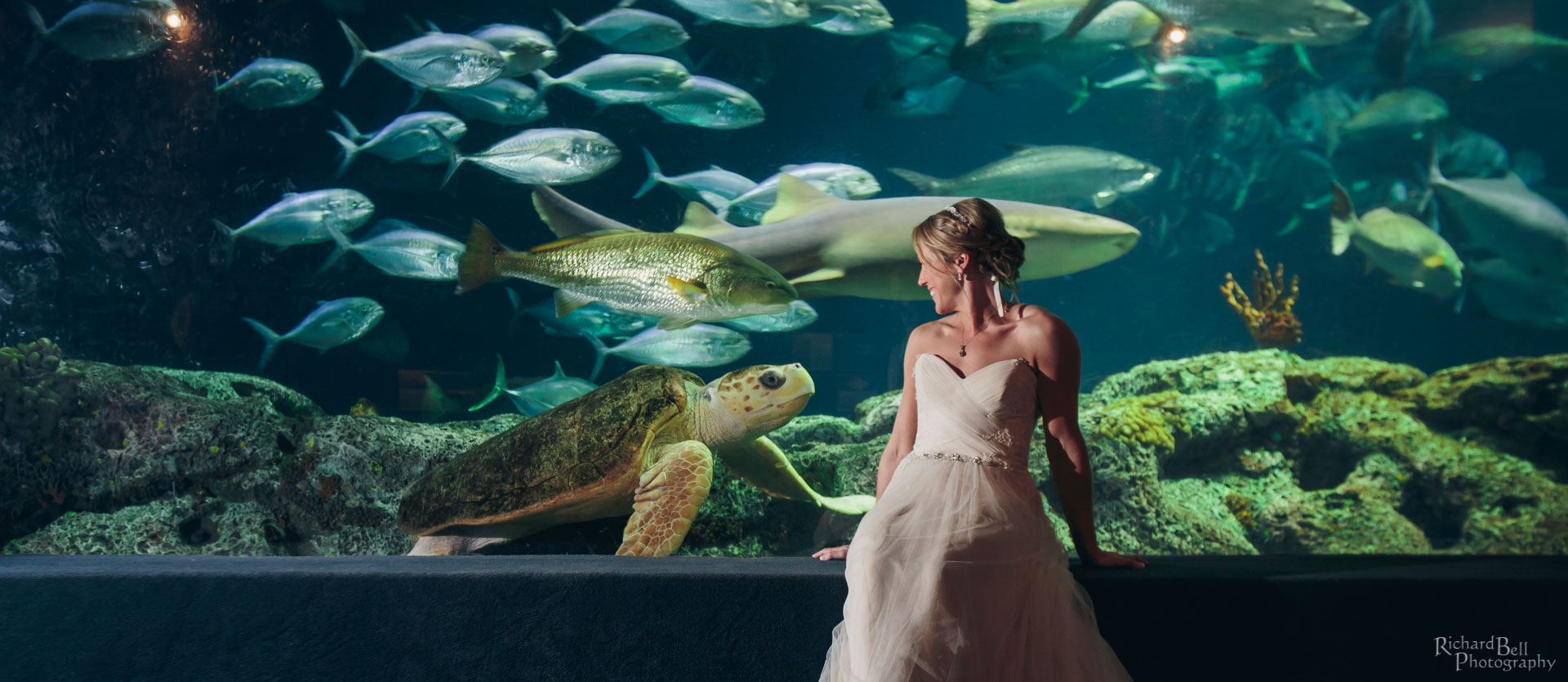 Bride with Turtle