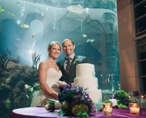 Irvin Aquarium