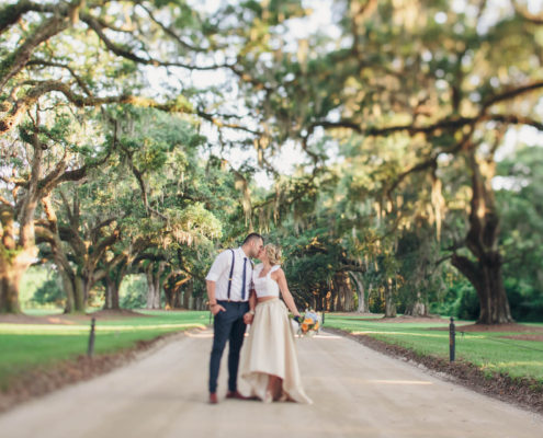 Avenue of Oaks