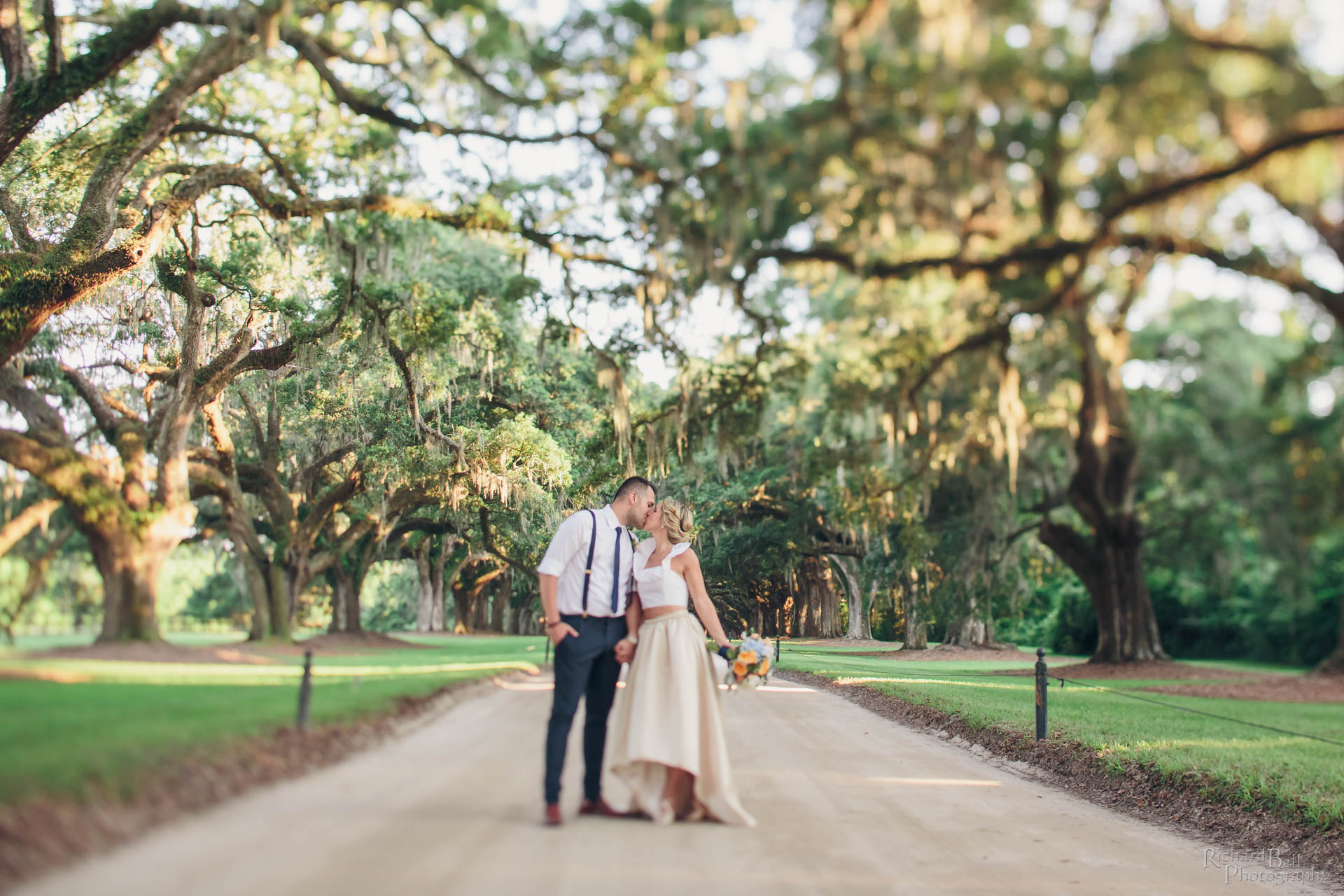 Avenue of Oaks