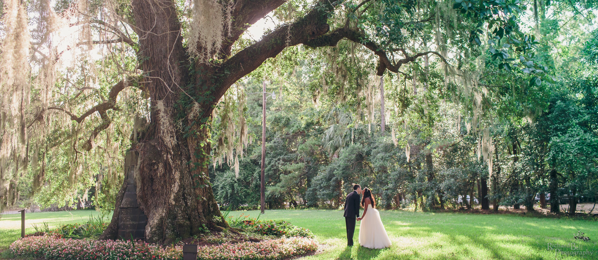 Serena and Matt under tree