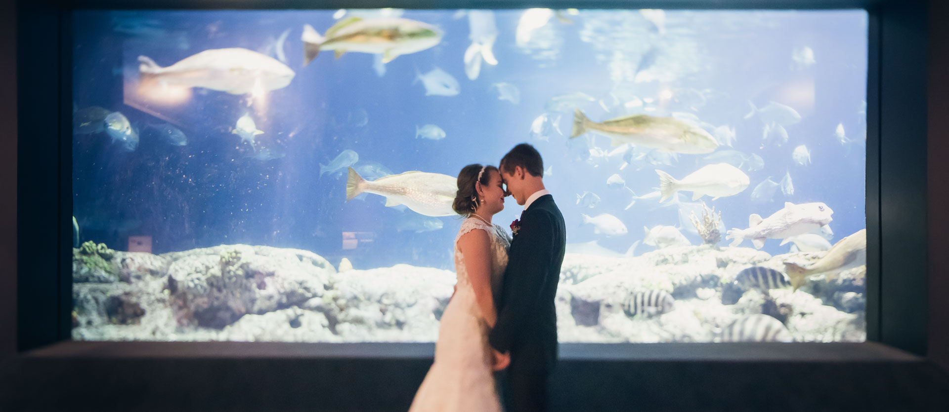 bride-and-groom-in-front-of-tank