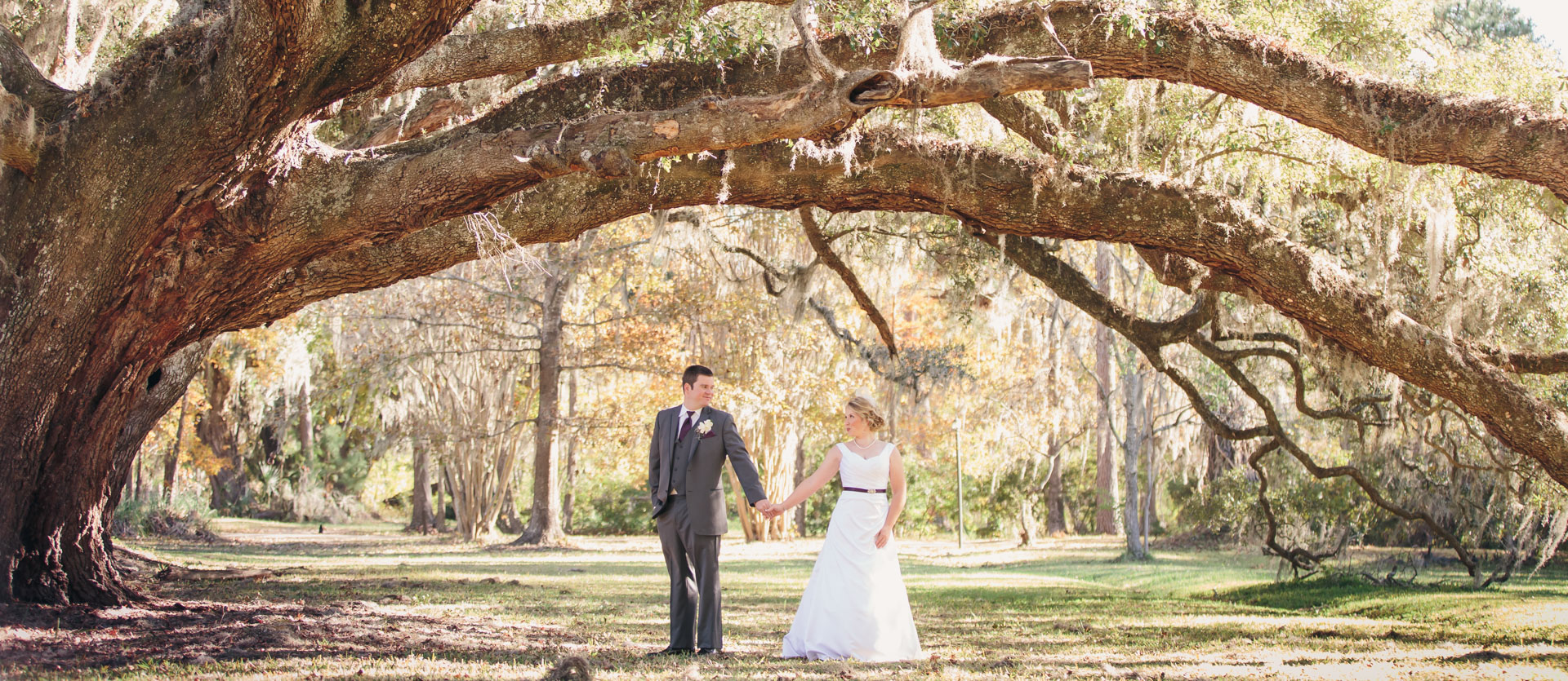 magnolia-plantation