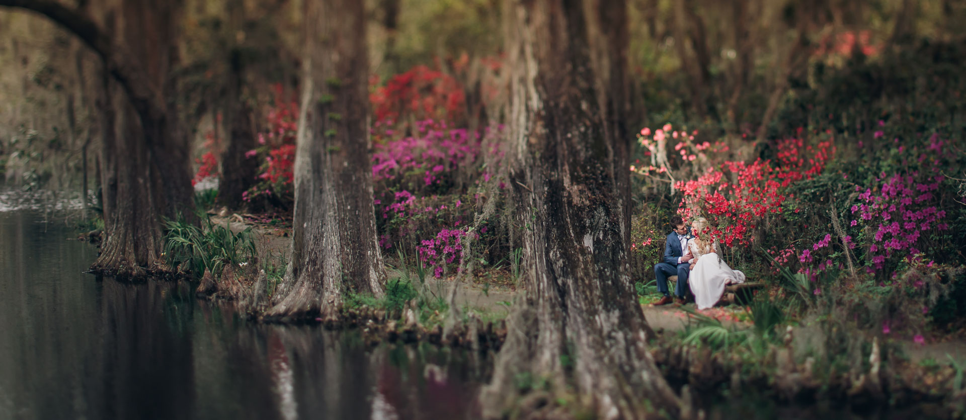 Magnolia Plantation