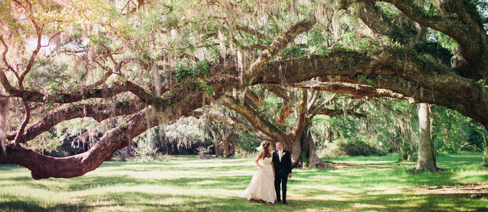 Magnolia Plantation