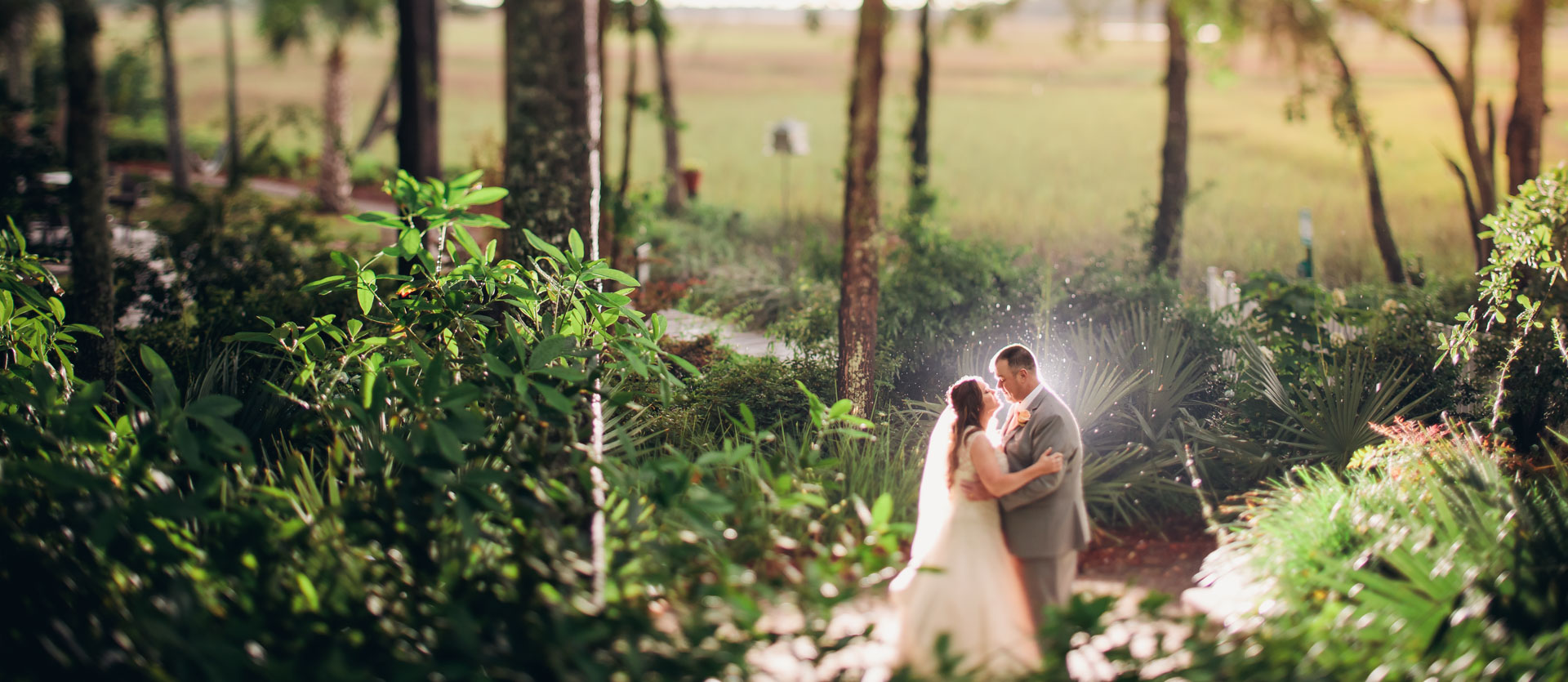 Bride and Groom