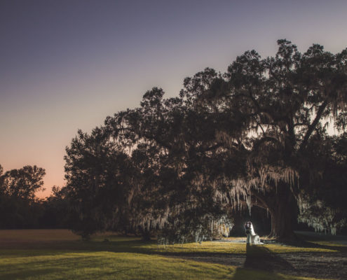 Magnolia Plantation Wedding Oaks