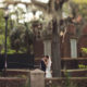 Downtown Charleston Wedding