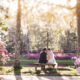 Middleton Place Wedding