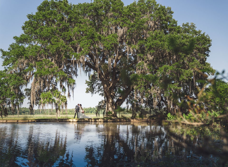 Middleton place wedding