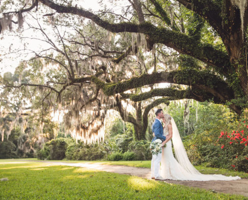 Magnolia Plantation Photographer