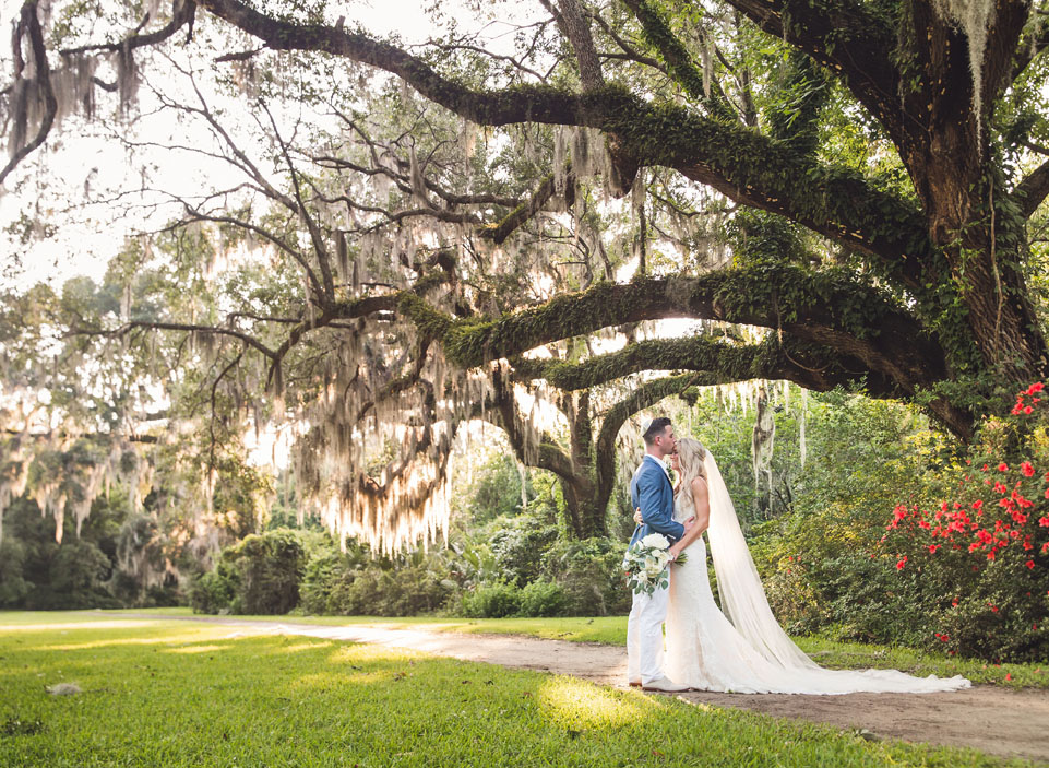 Magnolia Plantation Photographer