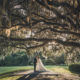 Charleston Wedding