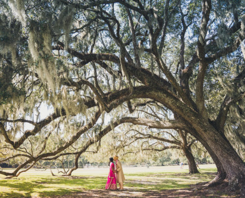 Middleton Place Wedding