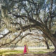 Middleton Place Wedding