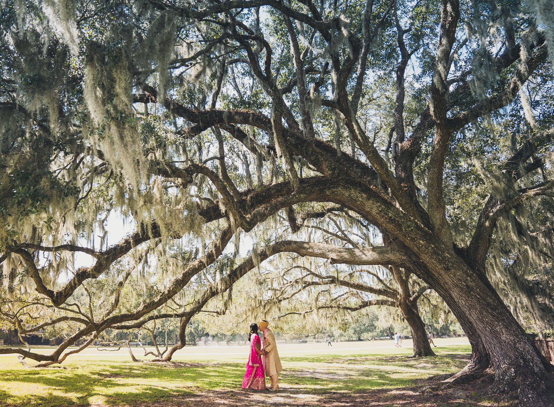 Middleton Place Wedding