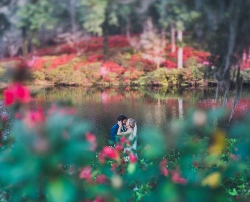 Middleton Place Azaleas Wedding