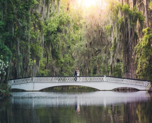 magnolia plantation