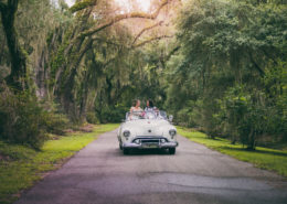 Magnolia Plantation Wedding