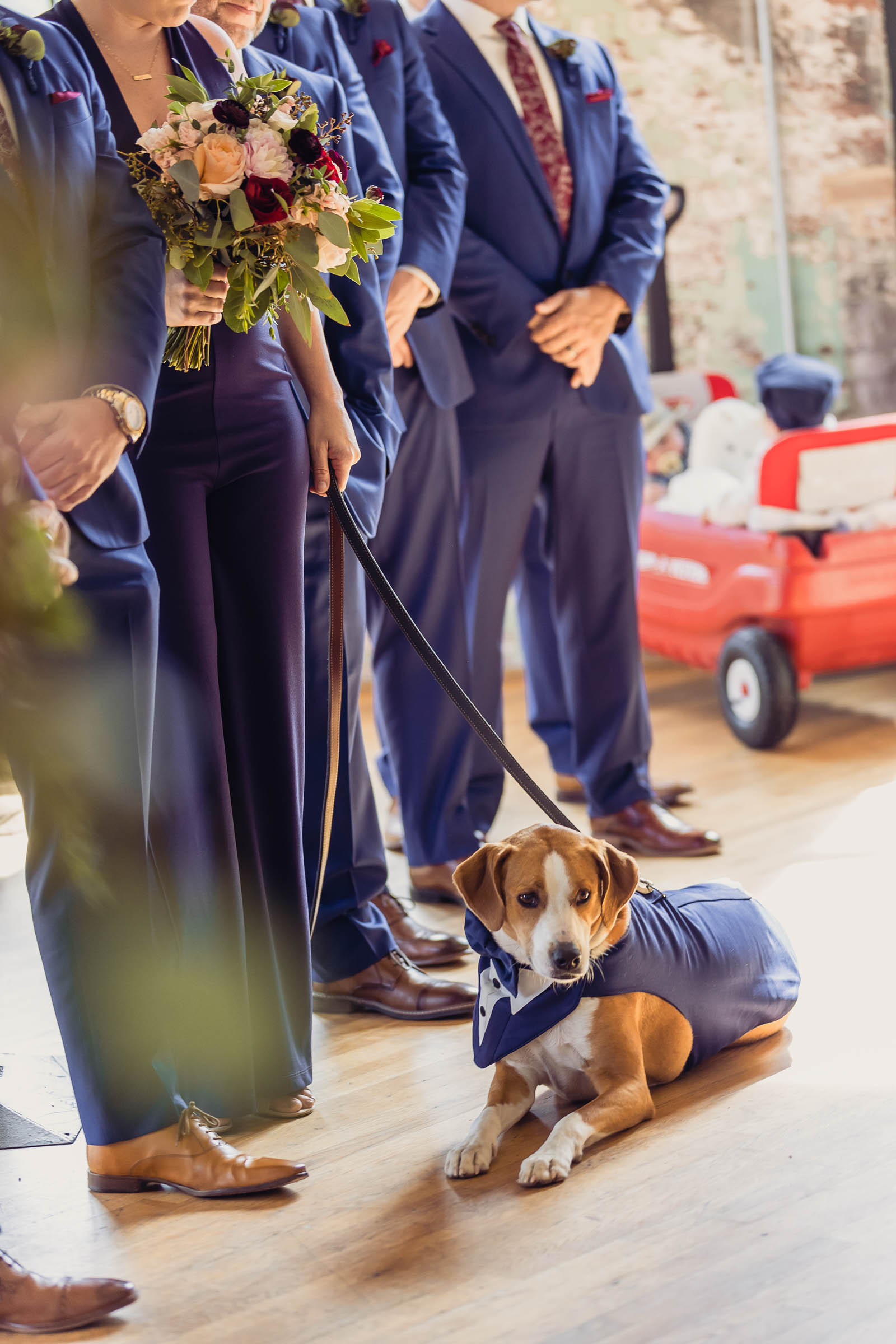 Dog in a tuxedo lying at a wedding ceremony beside bridesmaids and groomsmen in navy attire—fun candid moment with a dressed-up pup.