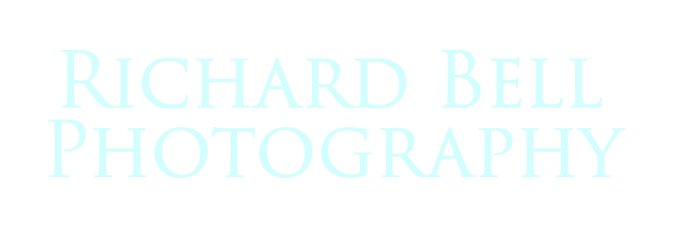 Charleston Wedding Photography