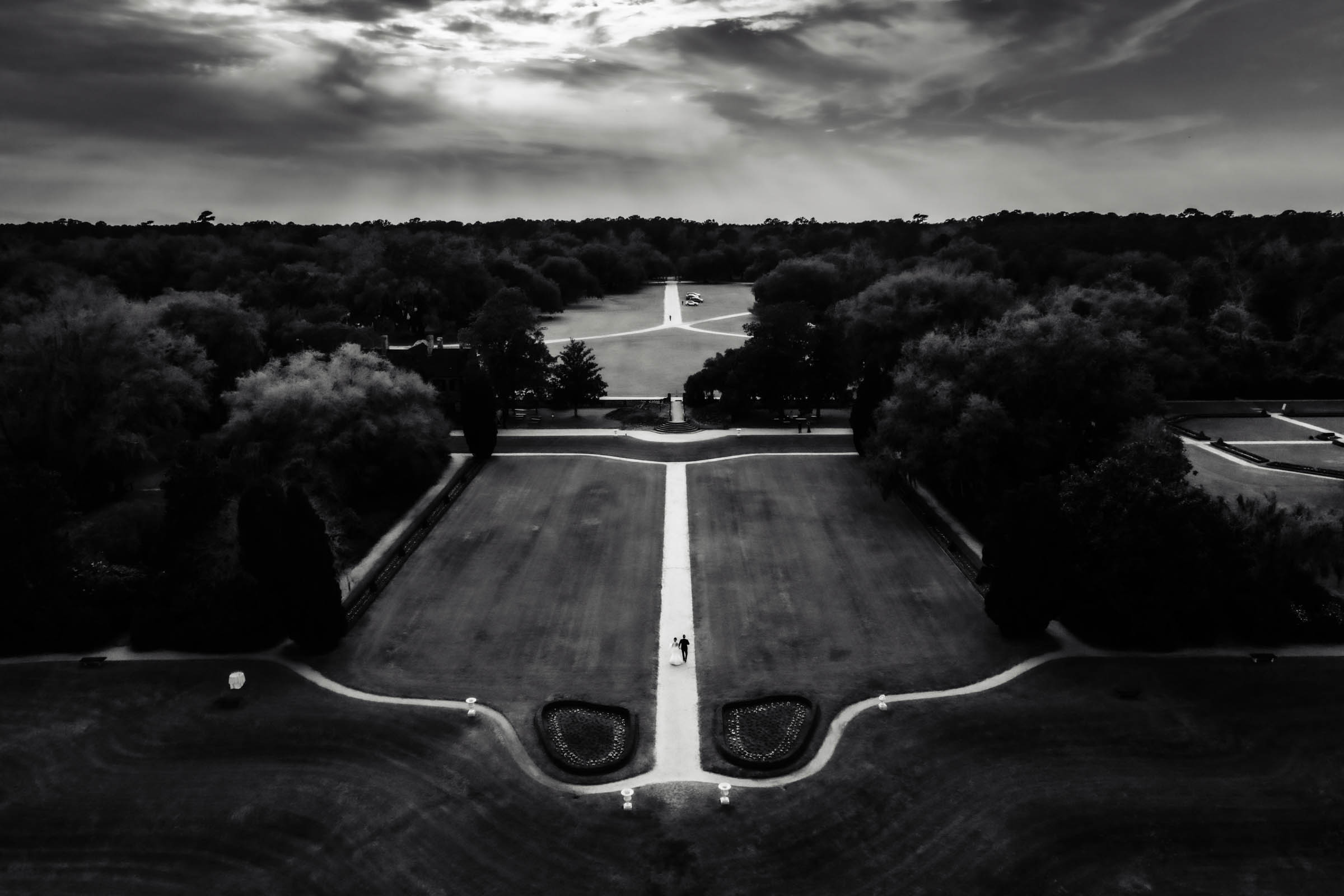 Dramatic black and white landscape of Middleton Place with a bride and groom walking the formal garden path after their ceremony.